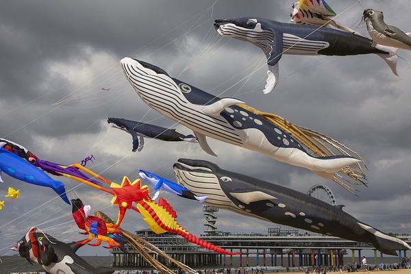 王牌御史漫画免费阅读下滑