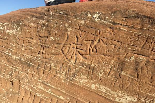 《海贼王第890集》在线观看