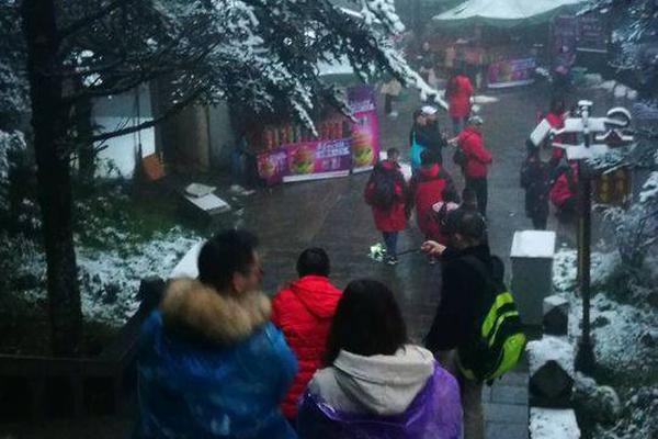 免费漫画阅站app下载安装无广告，畅享丰富漫画资源