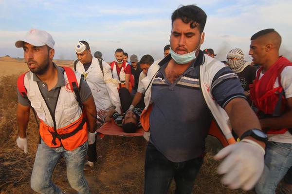 阅站漫画app最新版：免费搜索全网漫画，畅享多种便捷阅读体验