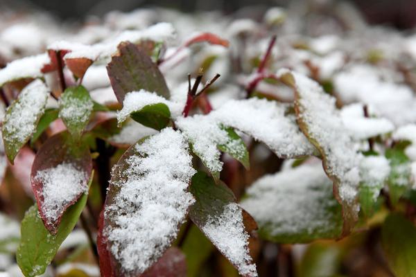 缘之空借兄妹情纠葛引发思索，为何对兄妹恋情描绘引争议？