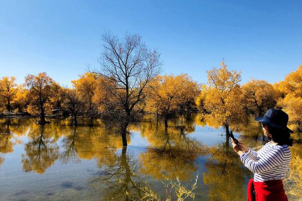 哔哩哔哩隐藏内容怎么找？特殊标签与搜索技巧是关键