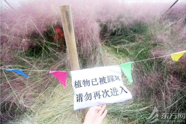 哔哩哔哩隐藏内容怎么找？特殊标签与搜索技巧是关键