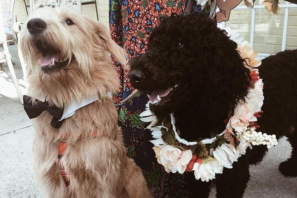 星空下的仁医粤语达达兔影院