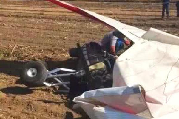 《海贼王第890集》在线观看