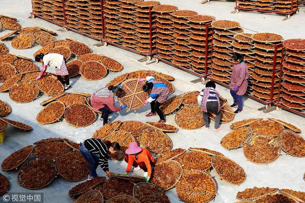 异世界搞笑冒险番为何吸引人？独特设定与反差角色是关键