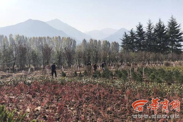 日本无漫画大全漫画