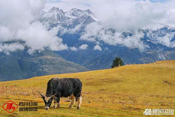 免费漫画阅站官方正版：无广告弹窗，全网漫画免费看