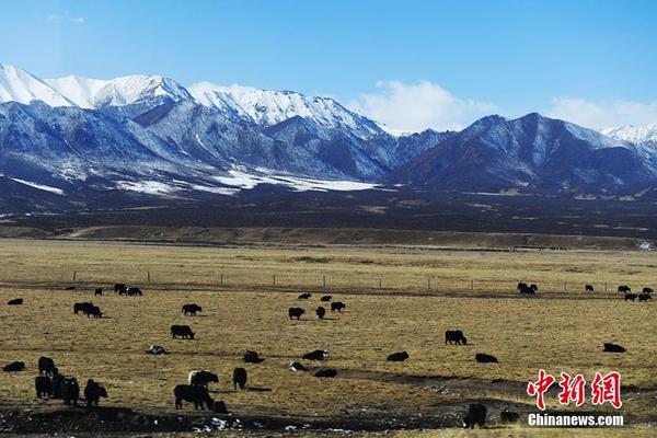 《海贼王第890集》在线观看