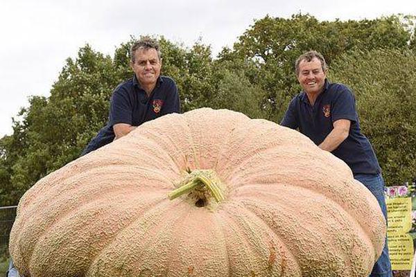 datealive 地铁逃生回归！biubiu免费加速，畅玩海量海内外精品手游