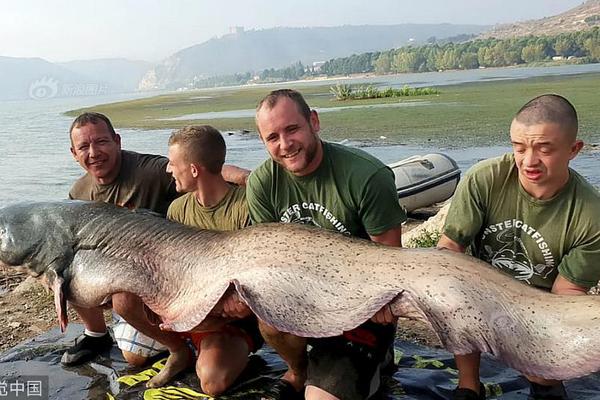 哔哩哔哩隐藏内容怎么找？特殊标签与搜索技巧是关键