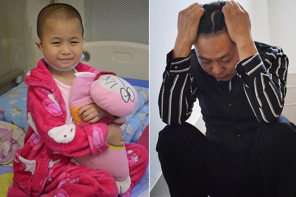 《海贼王第890集》在线观看