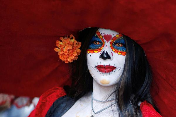 《海贼王第890集》在线观看