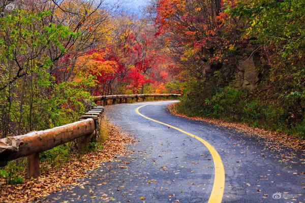 斗破苍穹老粉必看！正版免费观看渠道及支持正版的意义