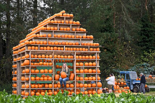 哔哩哔哩隐藏内容怎么找？特殊标签与搜索技巧是关键