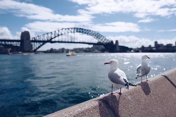 免费看电视剧的网站下载安装