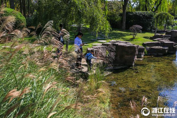 免费漫画阅站app下载安装无广告，畅享丰富漫画资源