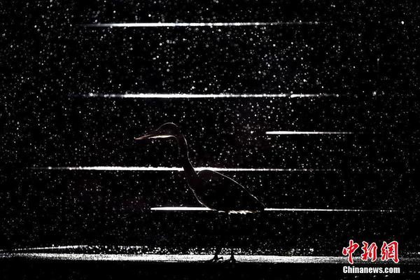 datealive 地铁逃生回归！biubiu免费加速，畅玩海量海内外精品手游