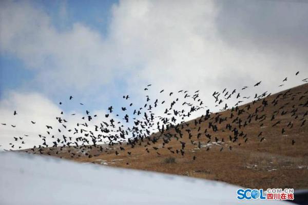 漫画老师作文美术老师