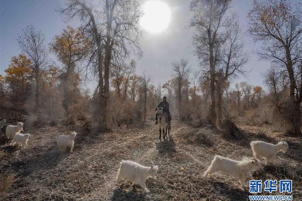 撒野 巫哲 小说