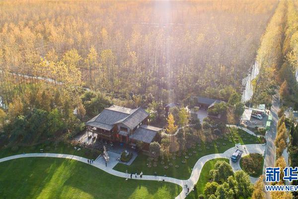 哔哩哔哩隐藏内容怎么找？特殊标签与搜索技巧是关键