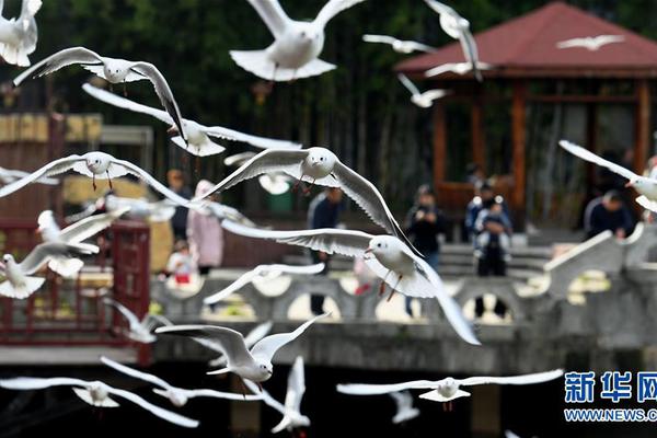 终极斗罗在哪个软件看