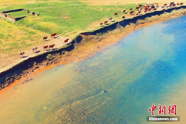 网络文学爱好者必读！新笔趣阁现状及使用建议大揭秘？