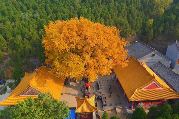 同人：约会大作战datealive ex章节（3） ast存亡战 第一节