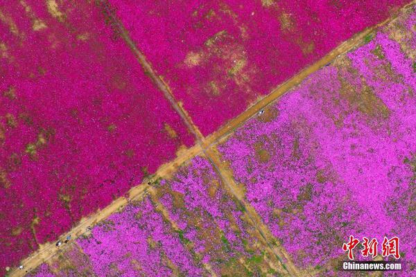 《狐妖竹业篇》