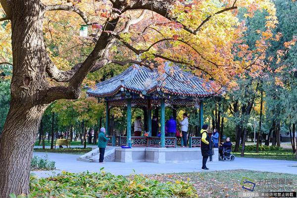 agc漫画官方凯发真人官网