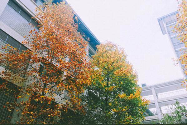 哔哩哔哩隐藏内容怎么找？特殊标签与搜索技巧是关键