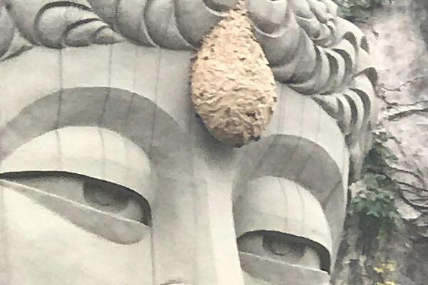 武神主宰漫画下拉式六漫画