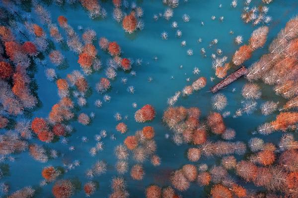 免费漫画阅站app下载安装无广告，畅享丰富漫画资源