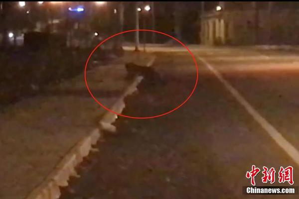 《海贼王第890集》在线观看