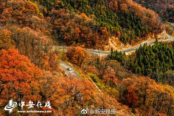 网络文学爱好者必读！新笔趣阁现状及使用建议大揭秘？