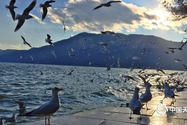 缘之空借兄妹情纠葛引发思索，为何对兄妹恋情描绘引争议？