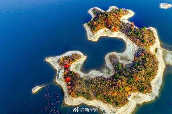 免费漫画阅站官方正版：无广告弹窗，全网漫画免费看