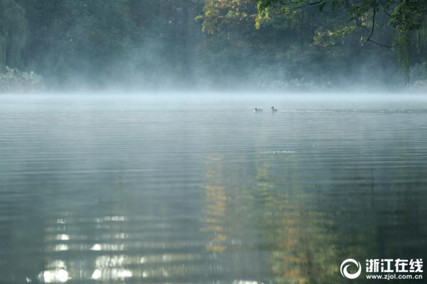 《海贼王第890集》在线观看