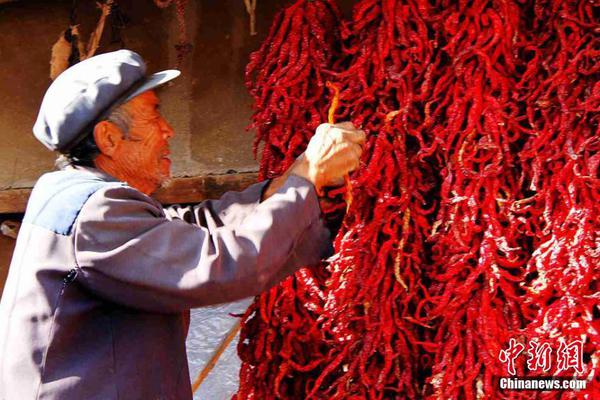 阅站漫画app最新版：免费搜索全网漫画，畅享多种便捷阅读体验