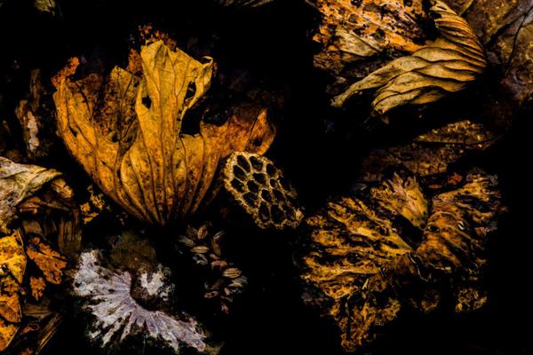 网络文学爱好者必读！新笔趣阁现状及使用建议大揭秘？