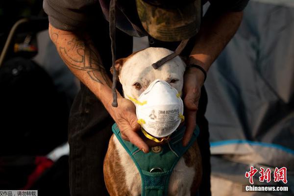 哔哩哔哩隐藏内容怎么找？特殊标签与搜索技巧是关键