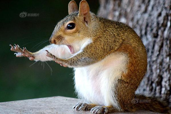 《斗罗大陆》动漫