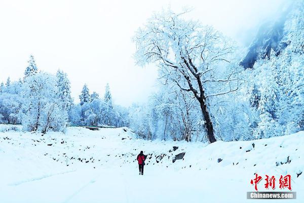 缘之空借兄妹情纠葛引发思索，为何对兄妹恋情描绘引争议？