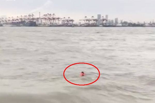 阅站漫画app最新版：免费搜索全网漫画，畅享多种便捷阅读体验