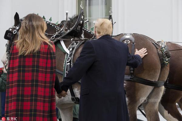 哔哩哔哩隐藏内容怎么找？特殊标签与搜索技巧是关键