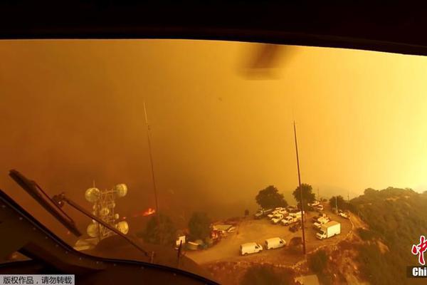 《海贼王第890集》在线观看