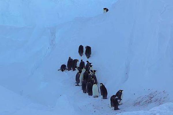 《海贼王第890集》在线观看