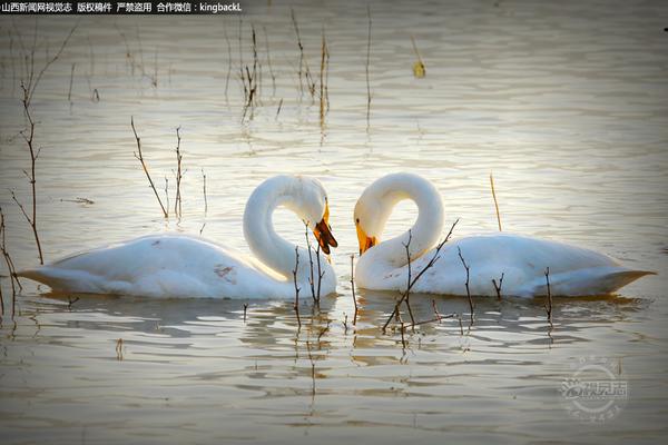 异世界搞笑冒险番为何吸引人？独特设定与反差角色是关键