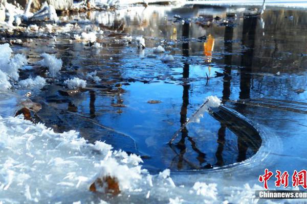 免费漫画阅站官方正版：无广告弹窗，全网漫画免费看