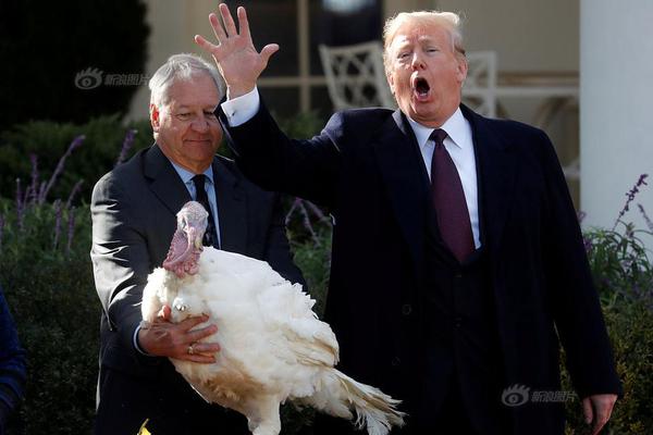 免费漫画阅站app下载安装无广告，畅享丰富漫画资源